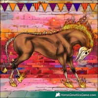 Horse Color:Bay 