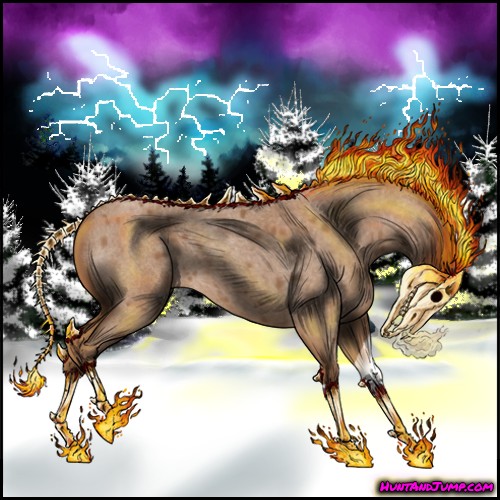 Horse Color:Red Roan 