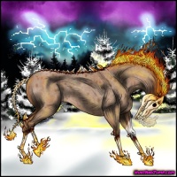 Horse Color:Red Roan 