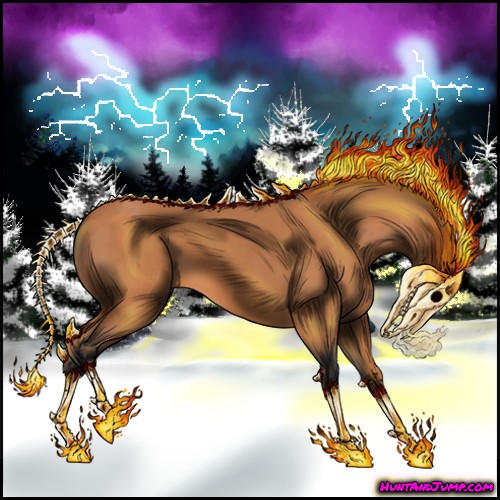 Horse Color:Bay Roan 