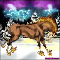 Horse Color:Bay Roan 