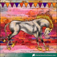 Horse Color:Bay Roan 