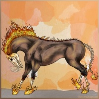 Horse Color:Bay Roan 