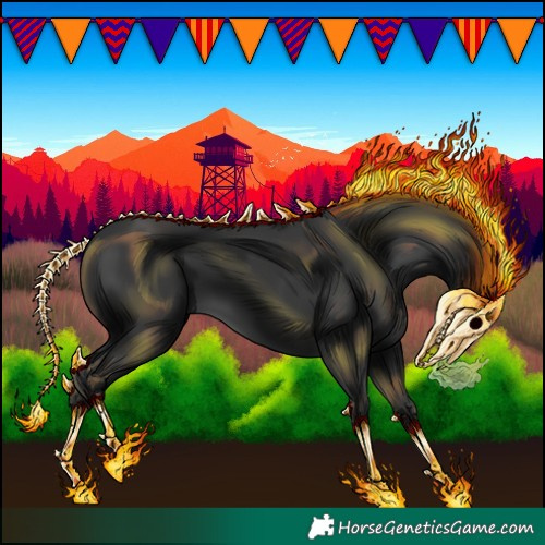 Horse Color:Black 
