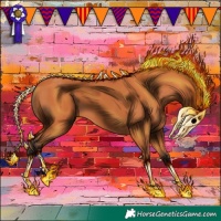 Horse Color:Bay 