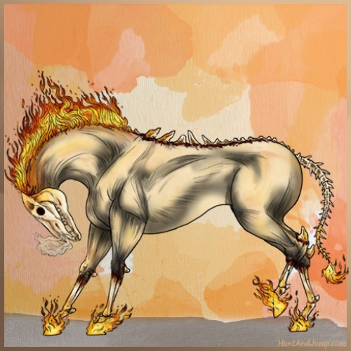 Horse Color:Buckskin Roan 