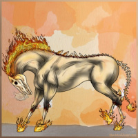 Horse Color:Buckskin Roan 