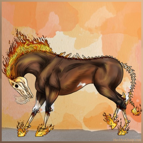 Horse Color:Bay Frame 