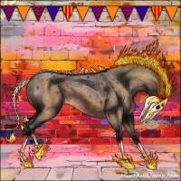 Horse Color:Bay Roan 