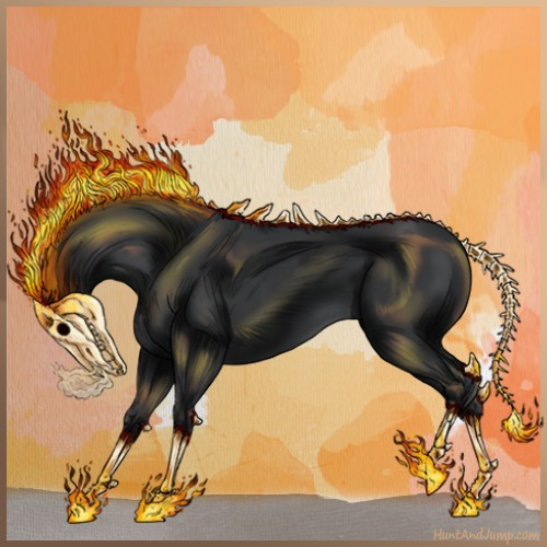 Horse Color:Black 