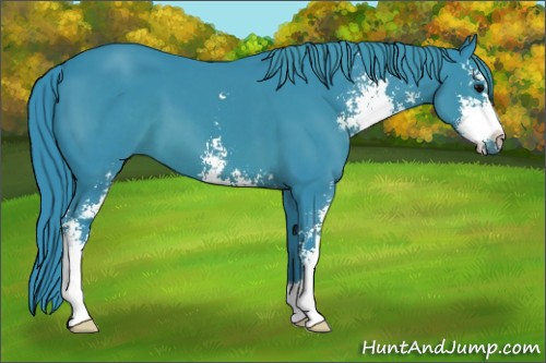 Horse Color:Watercolor Black Sabino 