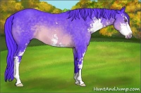 Horse Color:Watercolor Brown Chinchilla Sabino 