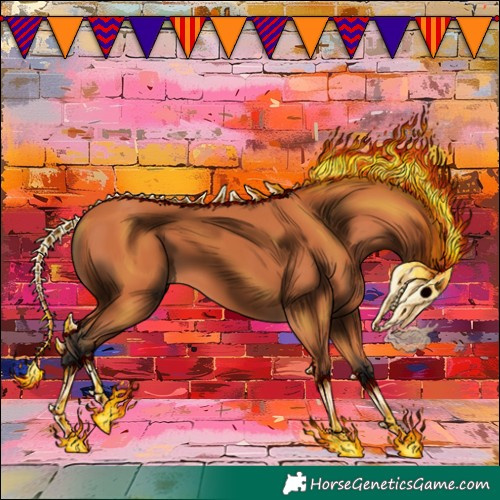 Horse Color:Bay 