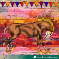 Horse Color:Bay 