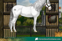 Horse Color:White Spotted Buckskin Dun Sabino Varnish 