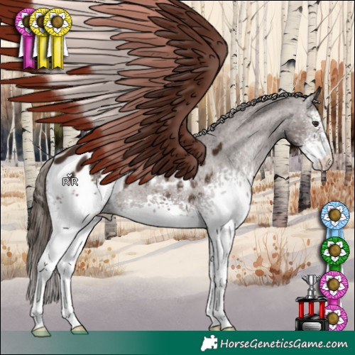 Horse Color:White Spotted Liver Chestnut Blanket Rabicano