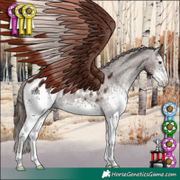 Horse Color:White Spotted Liver Chestnut Appaloosa Rabicano 