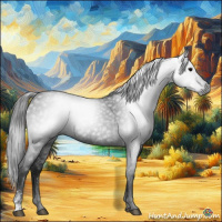 Horse Color:Gray Blue Roan Sabino