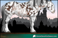 Horse Color:White Spotted Brown Tobiano Blanket 