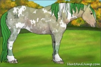 Horse Color:Watercolor White Spotted Brown Ice