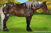 Horse Color:White Spotted Silver Buckskin Ice 