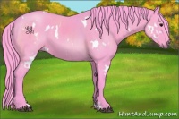 Horse Color:Watercolor White Spotted Black 
