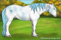 Horse Color:Watercolor White Spotted Bay Ice