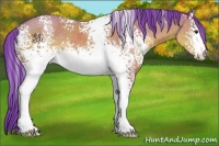 Horse Color:Watercolor White Spotted Bay 