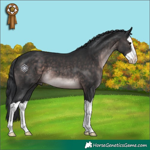 Horse Color:Platinum Brown Splash 