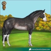 Horse Color:Platinum Brown Splash