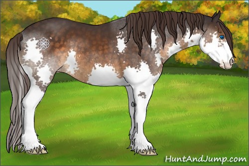 Horse Color:Buckskin Splash Varnish