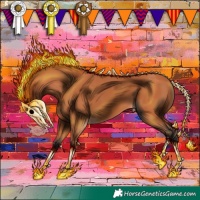 Horse Color:Bay 