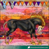 Horse Color:Black 