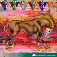 Horse Color:Bay 