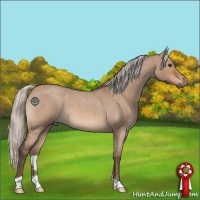 Horse Color:Silver Brown Roan Dun 