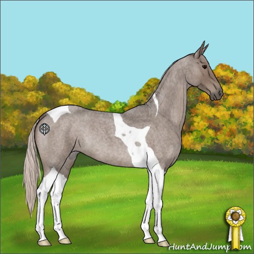 Horse Color:Silver Blue Roan Tobiano 