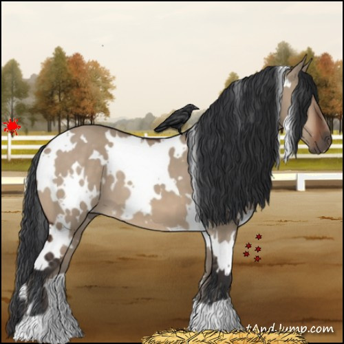 Horse Color:White Spotted Brown Dun 
