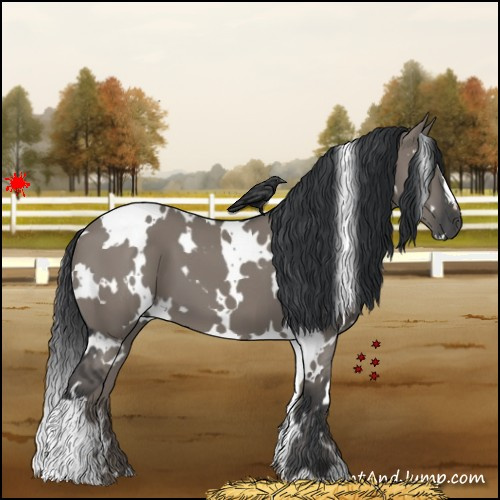 Horse Color:White Spotted Grullo 