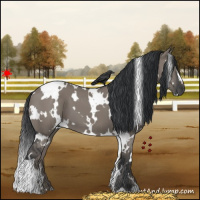 Horse Color:White Spotted Grullo