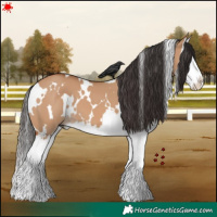 Horse Color:White Spotted Bay Dun Splash 