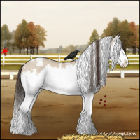 Horse Color:White Spotted Classic Champagne Dun Splash 