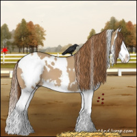 Horse Color:White Spotted Red Dun Splash