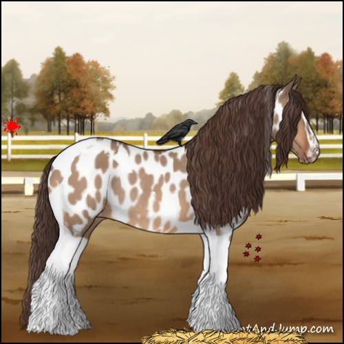 Horse Color:Bay Dun Sabino Tobiano Appaloosa Rabicano 