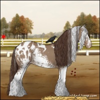Horse Color:White Spotted Liver Red Dun Appaloosa 