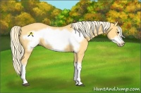 Horse Color:Palomino Frame 