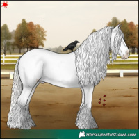 Horse Color:White Spotted Silver Bay Dun Appaloosa