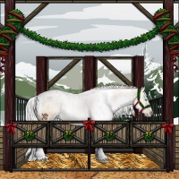 Horse Color:White Spotted Silver Perlino Rabicano