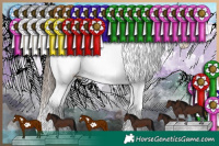 Horse Color:Liver Chestnut Sabino Splash Frame Appaloosa Rabicano