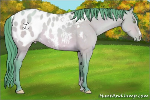 Horse Color:Watercolor Sable Champagne Dun Sabino Appaloosa 