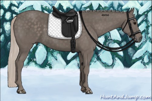 Horse Color:Silver Black 
